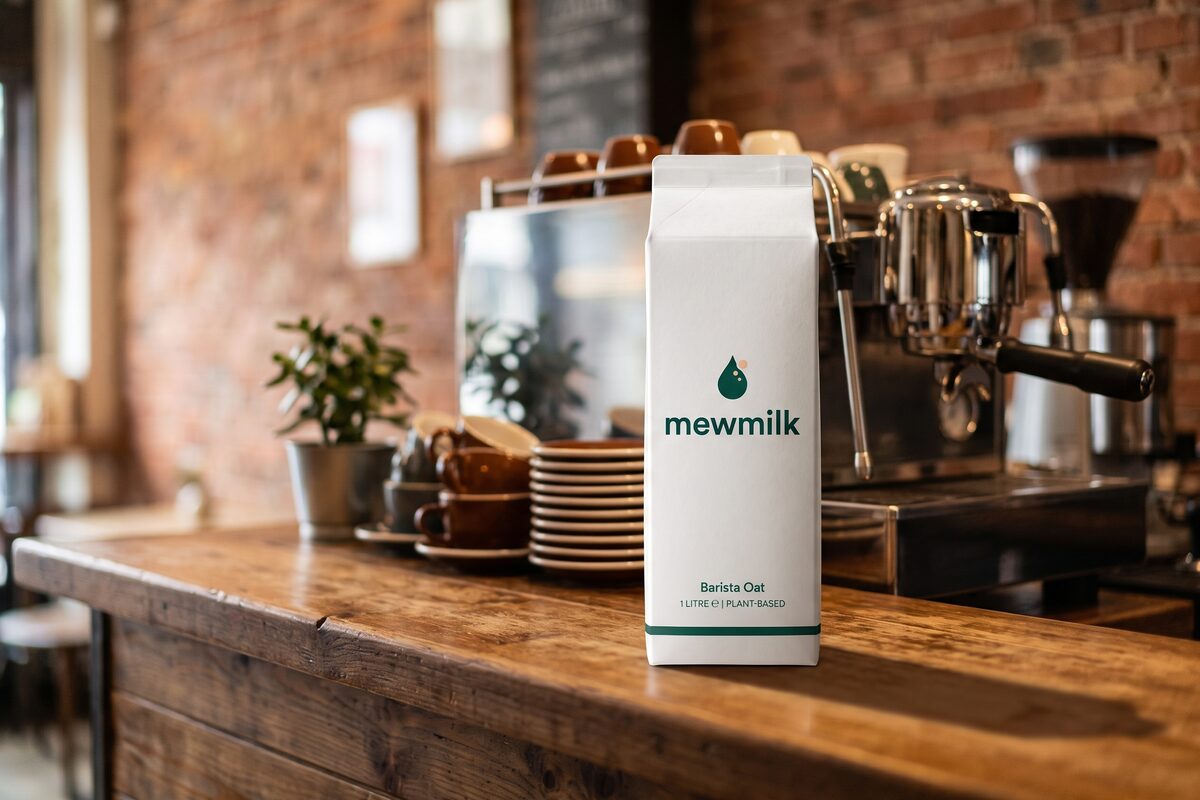 A warm independent cafe counter with a mewmilk carton standing on the bar beside a glossy latte